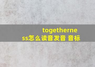 togetherness怎么读音发音 音标